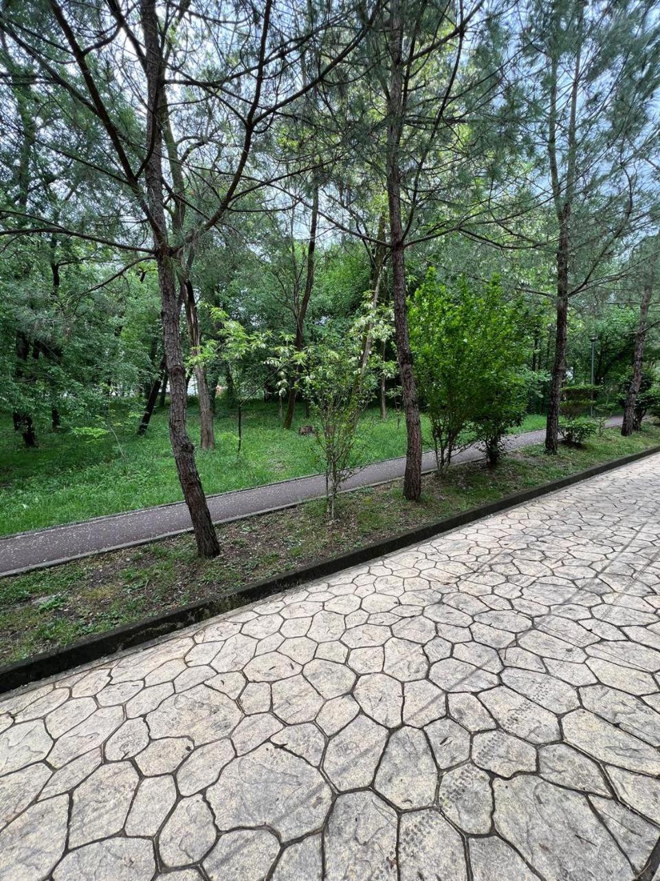 Appartement Cozy Flat Near Air Albania Stadium 1 Tirana